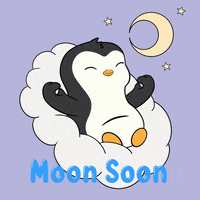To The Moon Love GIF by Pudgy Penguins