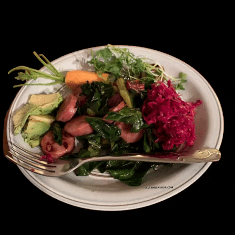 Red Cabbage Probiotic GIF by Salt And Savour Sauerkraut