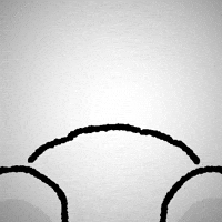 Wangwangie happy dog puppy lick GIF