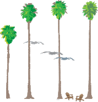 Palm Trees Pelican Sticker by Eckerd College