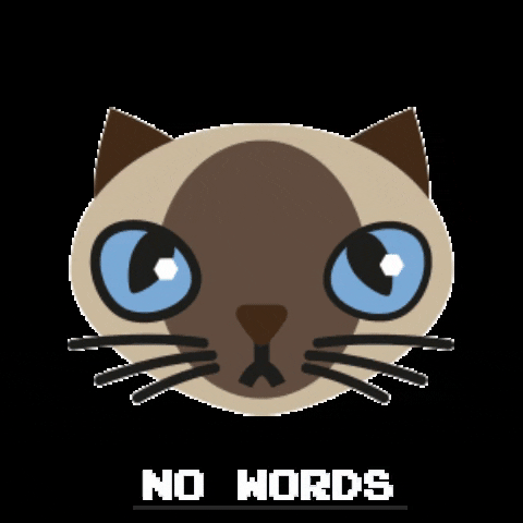 minimundos giphygifmaker cat speechless no words GIF