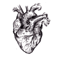 ainoawashere love heart lovely moody Sticker