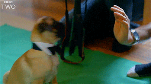 high five bbc two GIF by BBC