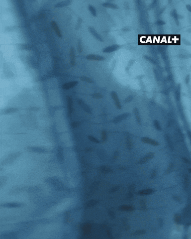 Dexter Morgan Surprise GIF by CANAL+
