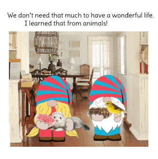My Pet Gnome GIF