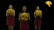 Dazzlers GIF by CUCougars