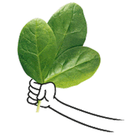 gustavogusto pizza Spinach tiefkühlpizza gustavogusto Sticker