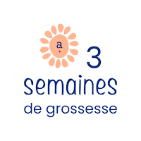 Pregnancy Grossesse Sticker by Absorba