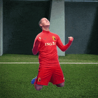 Red Devils Celebration GIF by ING Belgium
