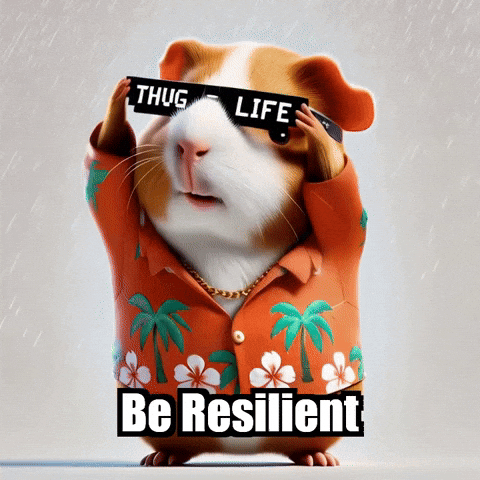 Wisdom Resilience GIF by Guinea Gambino