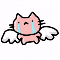 The Binding Of Isaac Cat GIF