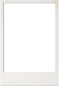 Ehfeuro2020 Sticker by EHF