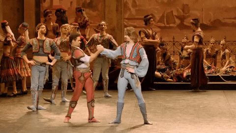 Enblecorsaire GIF by English National Ballet