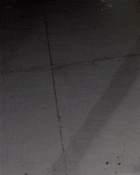 Vasco Da Gama GIF