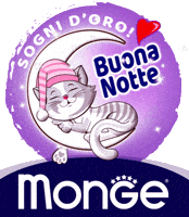 Pet Luna GIF by Mongepet