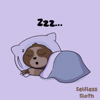 Zzz Sloth GIF by VeeFriends