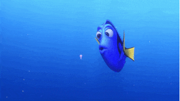 Disney Pixar Ocean GIF by Disney