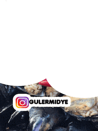 mussels kokorec Sticker by Guler Midye