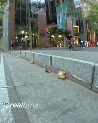 Australia Wow GIF by X Games