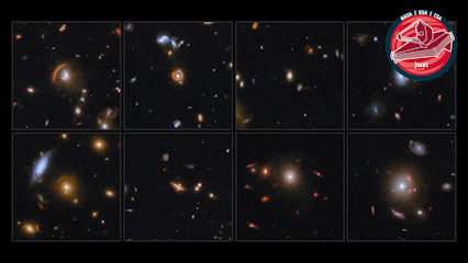 James Webb Nasa GIF by ESA Webb Space Telescope