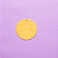 Scentsyconsultant GIF by Scentsy