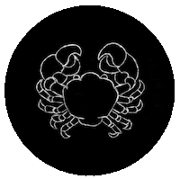 malaspinaofficial leo cancer horoscope aries Sticker