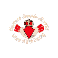 Champions Irish Sticker by Ashling Daly
