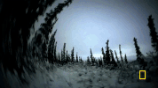 GIF by National Geographic Channel