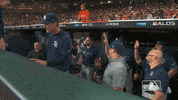 High Five Major League Baseball GIF by MLB