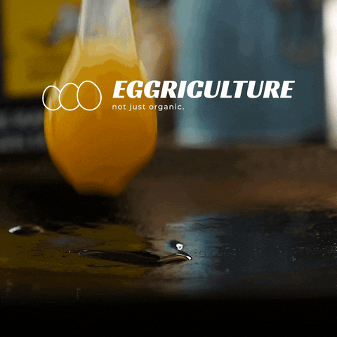 eggriculture giphyupload egg egg yolk eggriculture GIF
