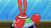 season 9 episode 13 GIF by SpongeBob SquarePants