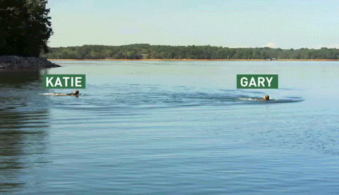 cmt swimming GIF by Redneck Island