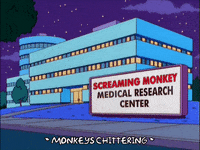 homer simpson GIF