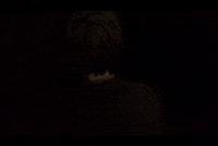 Donghua GIF