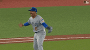 Major League Baseball Sport GIF by MLB