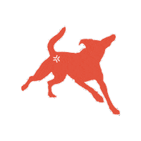Dog Jumping Sticker by Movora