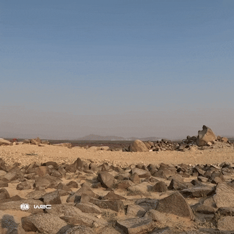 Ford Racing GIF by FIA World Rally Championship