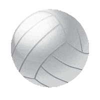 Volleyball Sticker by imoji