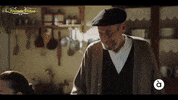 Serie Robert GIF by À Punt Mèdia