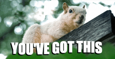 Video gif. Squirrel is perched up on a ledge and looks down at us calmly. Text that moves on the bottom says, "You've got this."