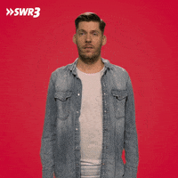 No Idea What GIF by SWR3