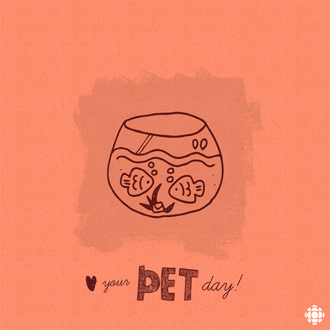 pets love your pet day GIF by CBC