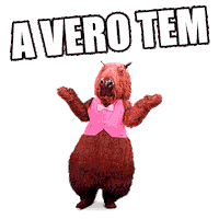 Capivara Tem Sticker by Vero Internet