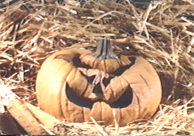 Jack O Lantern Halloween GIF