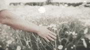 Nad Sylvan Iom GIF by Century Media Records