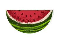 Fruit Watermelon Sticker by Extrafruti