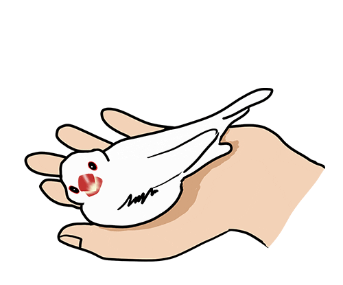 Happy Sleep Sticker