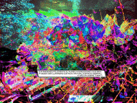 GIF by Canek