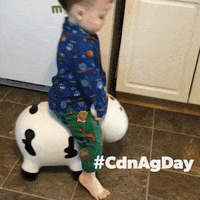 agmorethanever cdnag cdnagday canadian ag ag more than ever GIF