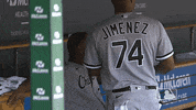 Regular Season Sport GIF by MLB